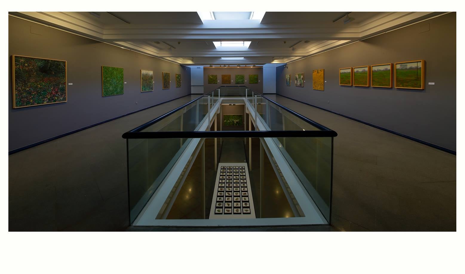 La Fundación Díaz-Caneja presenta cuatro intervenciones en vídeo dentro de su colaboración con el Festival Palencia Sonora La Fundación Díaz-Caneja presenta cuatro intervenciones en vídeo dentro de su colaboración con el Festival Palencia Sonora