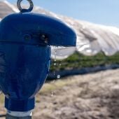 Parlamentarios alemanes visitarán Doñana ante la preocupación por la "extracción ilegal de agua"