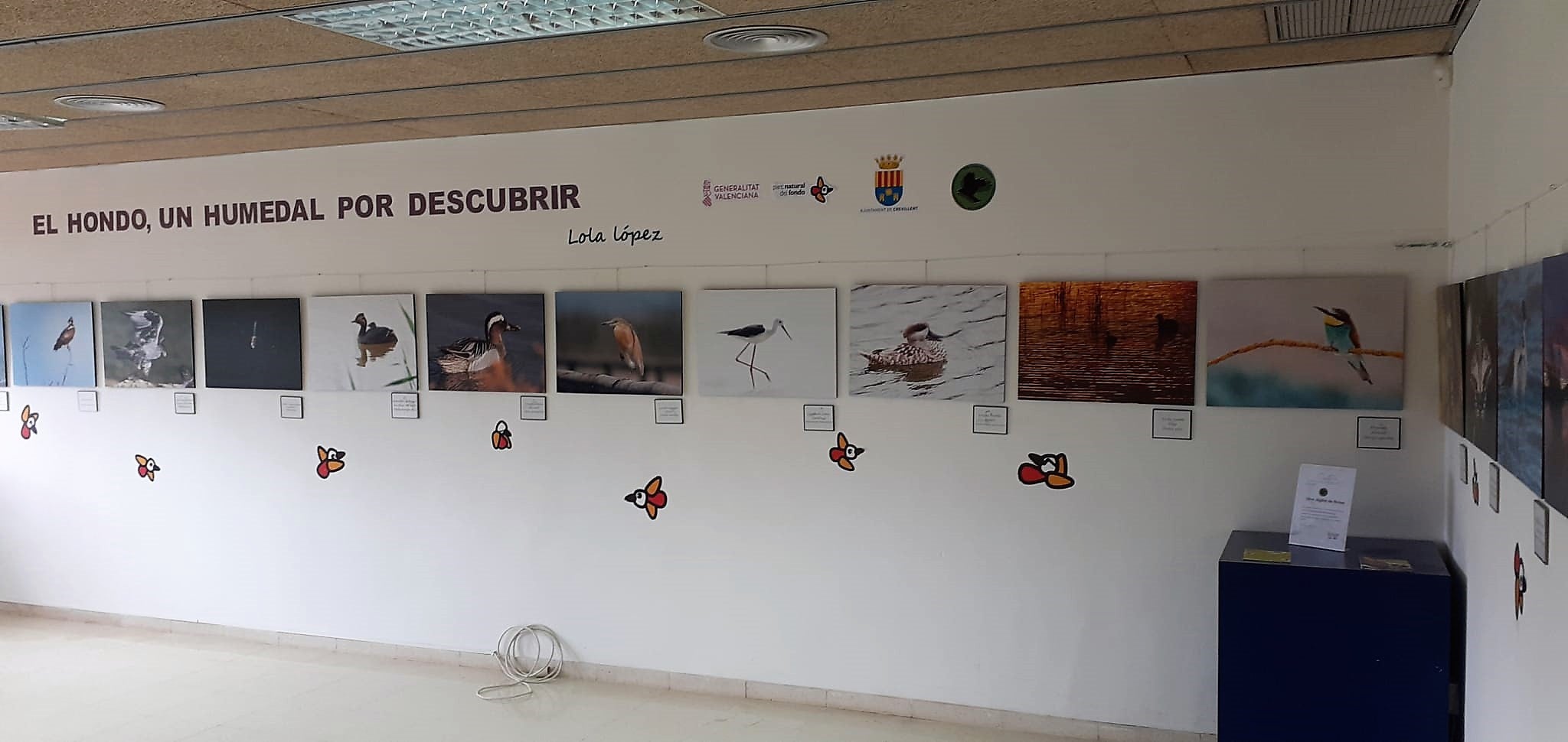 Crevillent cede al parque natural de El Hondo una exposición sobre el humedal con fotografías de la murciana Lola López Crevillent cede al parque natural de El Hondo una exposición sobre el humedal con fotografías de la murciana Lola López