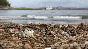 Imagen de residuos plásticos en una playa