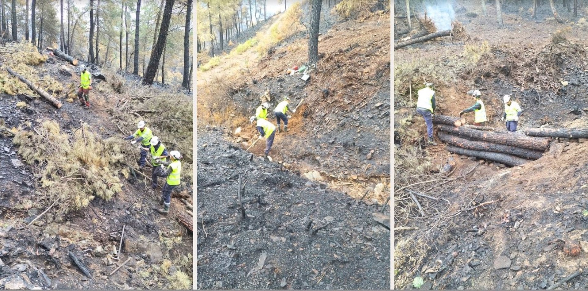 Confederación trabaja en recuperar cauces presentes en las zonas afectadas por el incendio en Las Hurdes y Sierra de Gata Confederación trabaja en recuperar cauces presentes en las zonas afectadas por el incendio en Las Hurdes y Sierra de Gata