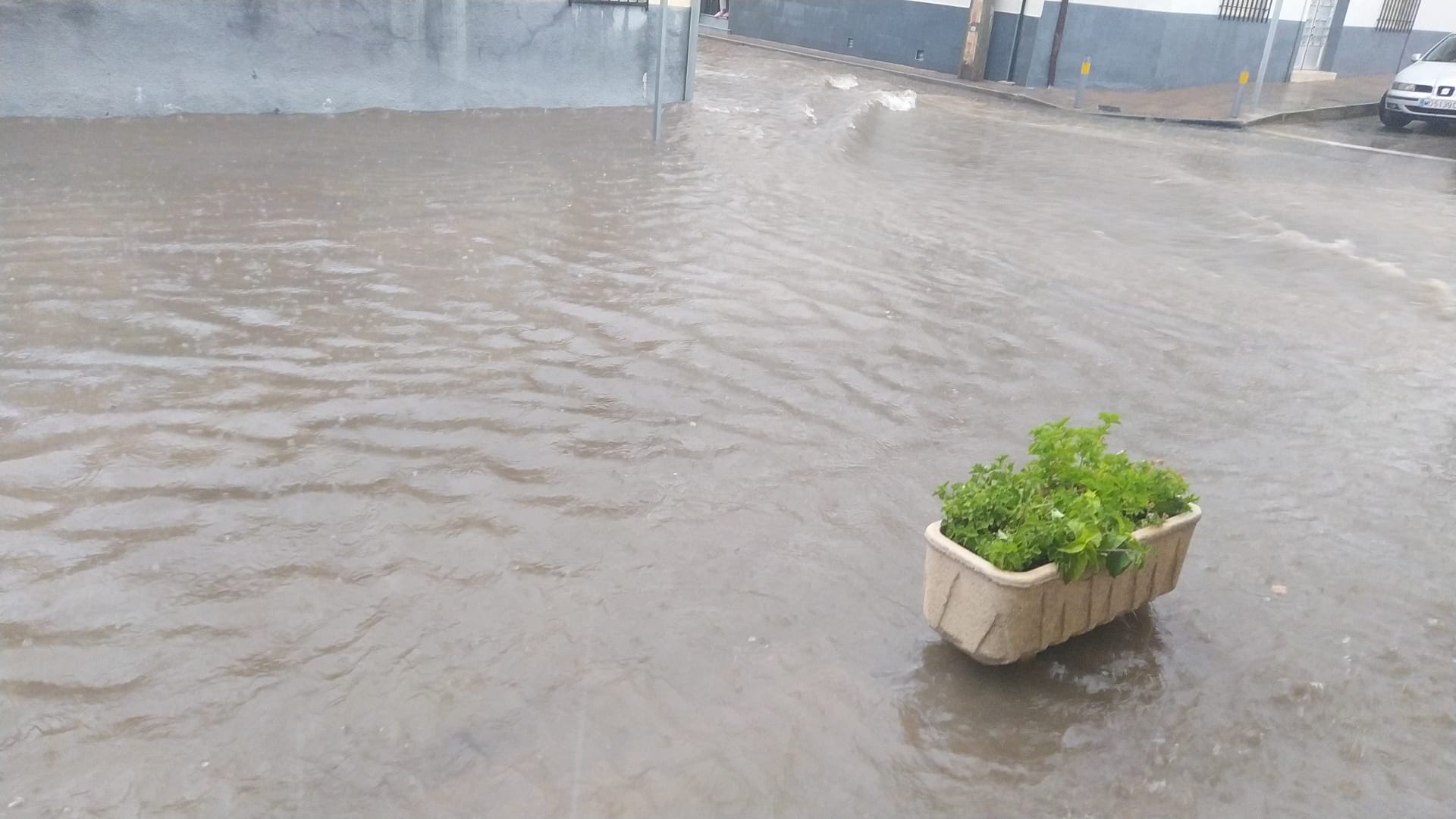 VÍDEO: Una tromba de agua inunda calles y bajos en Villarrubia de los Ojos VÍDEO: Una tromba de agua inunda calles y bajos en Villarrubia de los Ojos