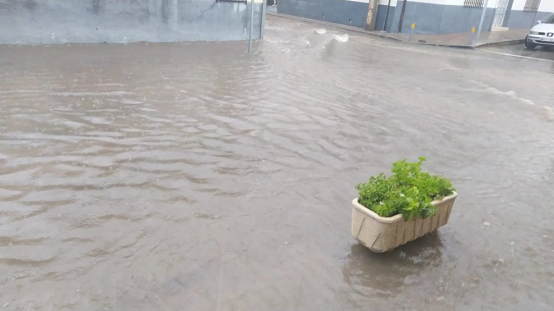 Zona inundada en Villarrubia de los Ojos Zona inundada en Villarrubia de los Ojos