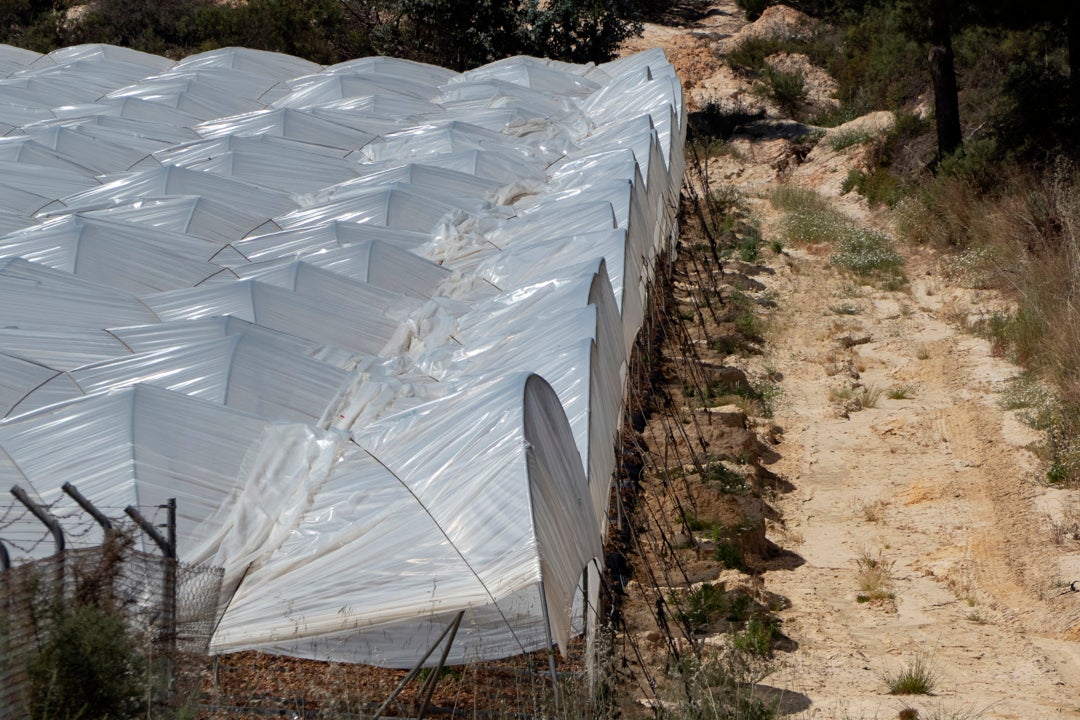 El Gobierno carga contra las "actuaciones irresponsables" del PP en Doñana que han provocado la visita de los diputados alemanes El Gobierno carga contra las "actuaciones irresponsables" del PP en Doñana que han provocado la visita de los diputados alemanes