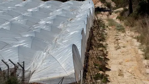 El Gobierno carga contra las "actuaciones irresponsables" del PP en Doñana que han provocado la visita de los diputados alemanes Imagen de archivo, un cultivo de regadío en el entorno del Parque Nacional de Doñana/ EFE/David Arjona