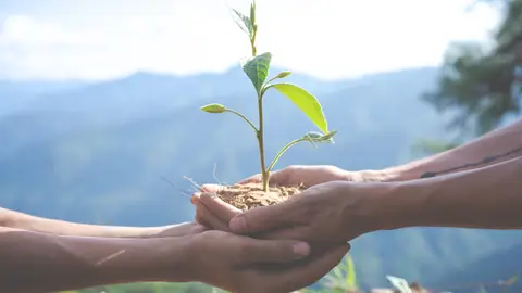 Medio Ambiente Medio Ambiente