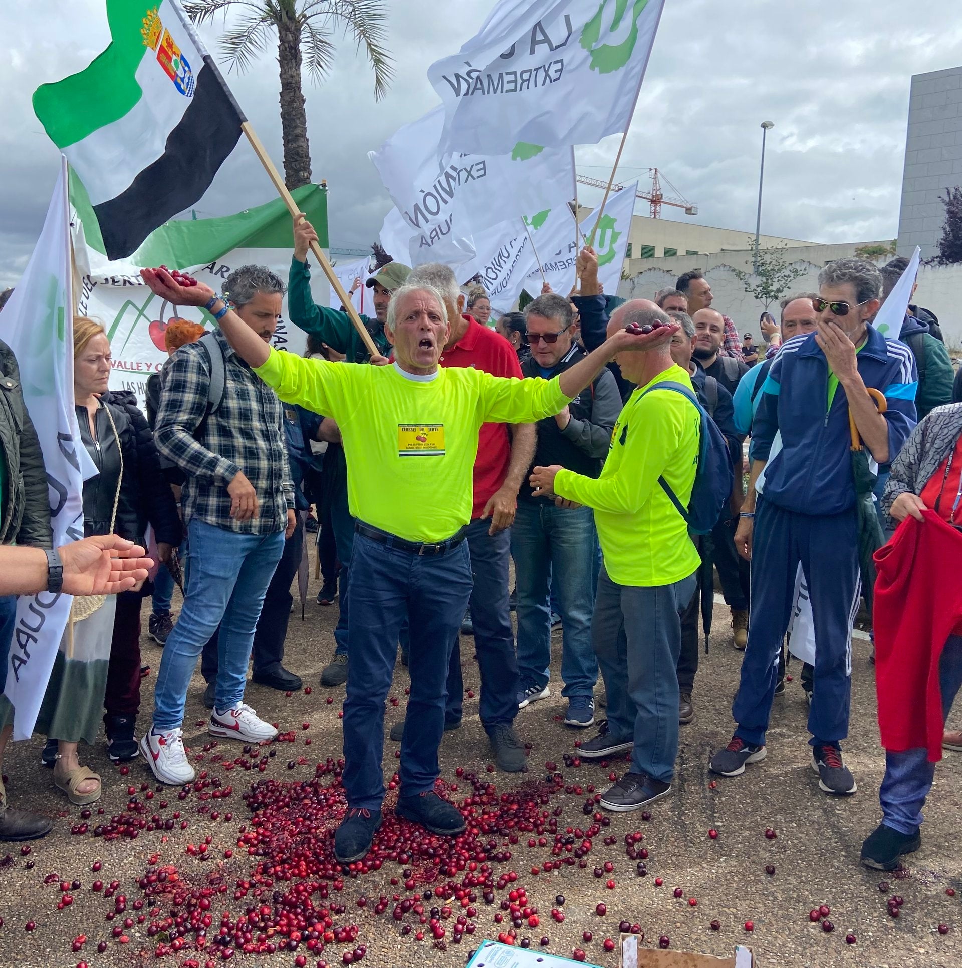 Cereceros del norte de Cáceres se concentran en Mérida para reclamar ayudas directas y mejora de los seguros Cereceros del norte de Cáceres se concentran en Mérida para reclamar ayudas directas y mejora de los seguros