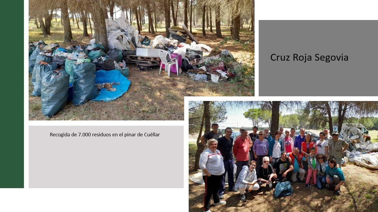 Cruz Roja recoge 7.000 residuos en el Pinar de Cuéllar Cruz Roja recoge 7.000 residuos en el Pinar de Cuéllar