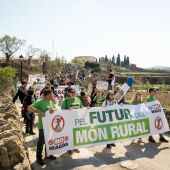 Manifestación contra las macroplantas fotovoltaicas en Castellón 