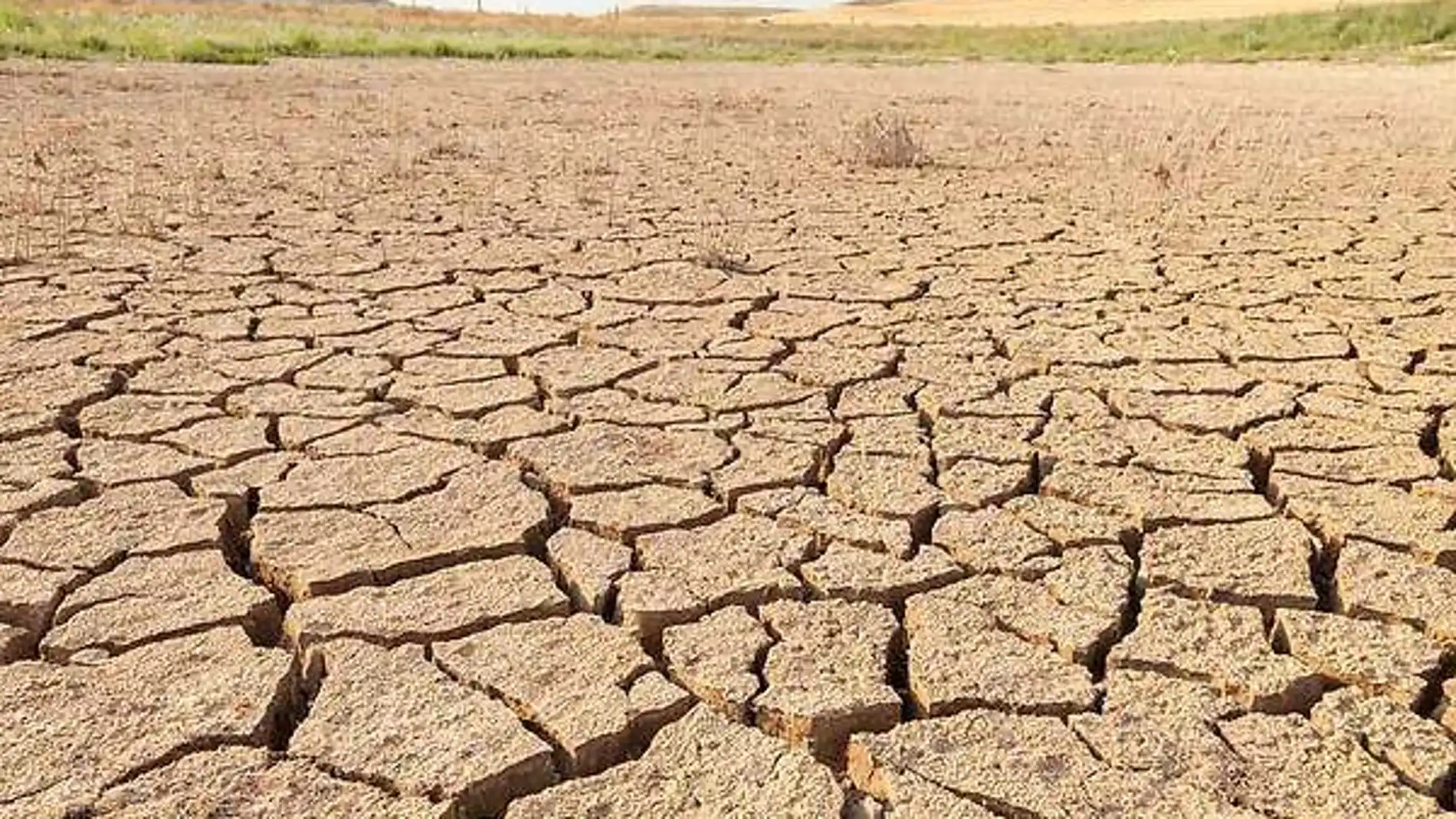 La Diputación Permanente de la Asamblea convalidaba el Decreto Ley de ayudas urgentes para paliar los efectos de la sequía