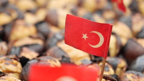 Turqu&iacute;a 