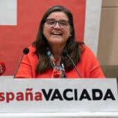 Las doce provincias en las que España Vaciada se presentará a las elecciones