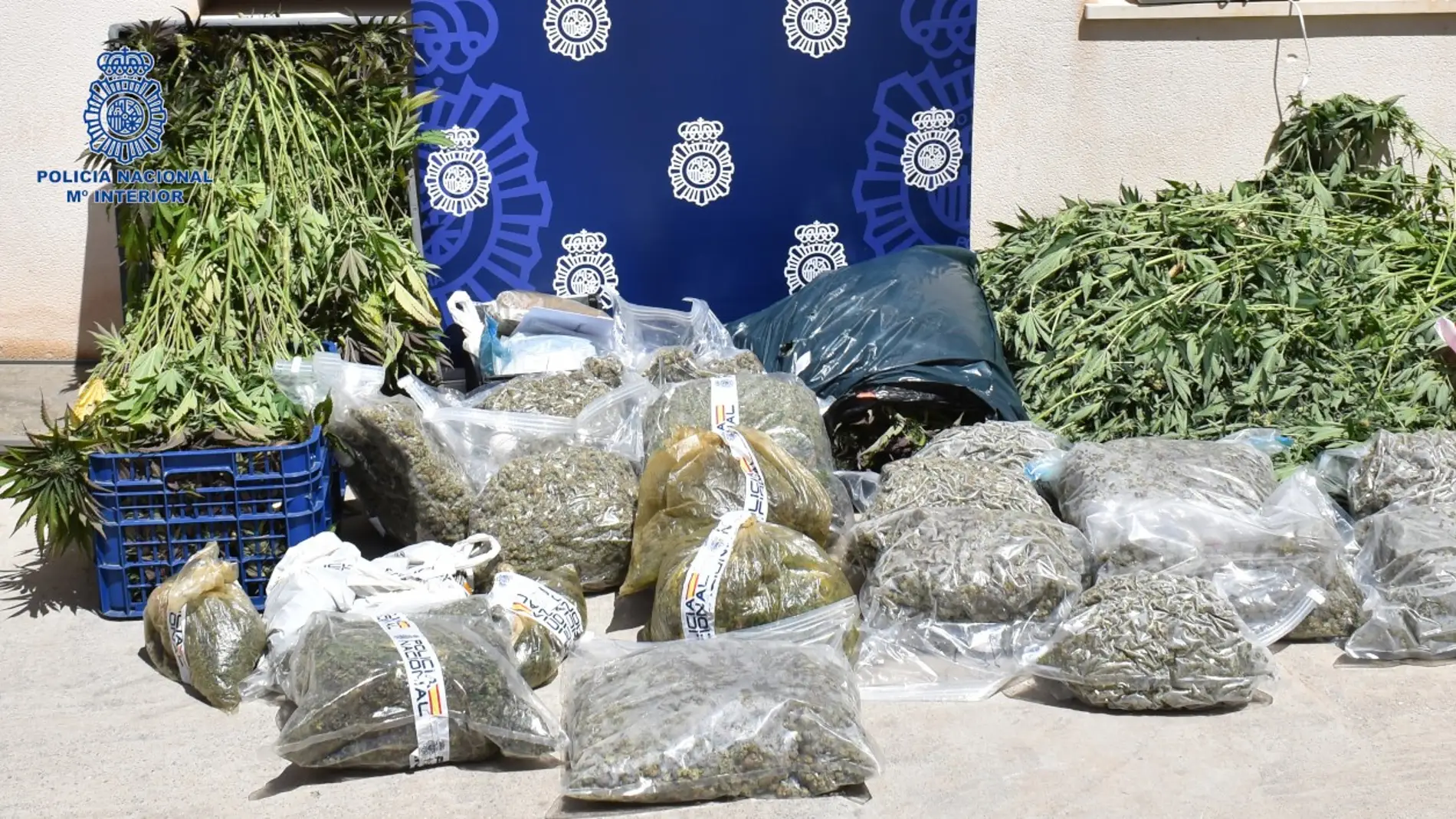 La Policía Nacional detiene a un grupo criminal que plantaba y vendía diversas drogas en Ibiza