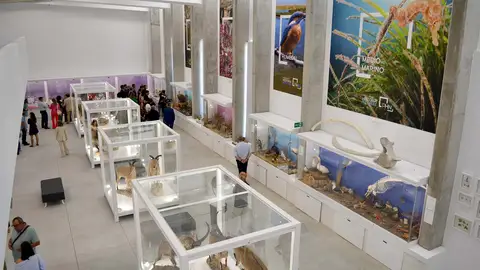 Pabellon historia Pabellon historia