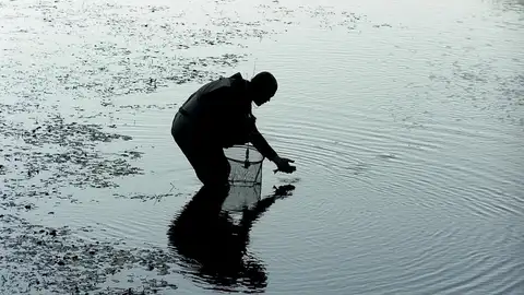 Pesca sin muerte onda cero