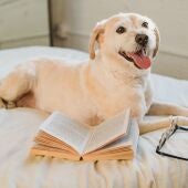 Adiestramiento canino con Ángel Osuna cada martes en Onda Cero Vega Baja