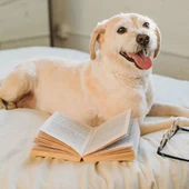 Adiestramiento canino con Ángel Osuna cada martes en Onda Cero Vega Baja Adiestramiento canino con Ángel Osuna cada martes en Onda Cero Vega Baja