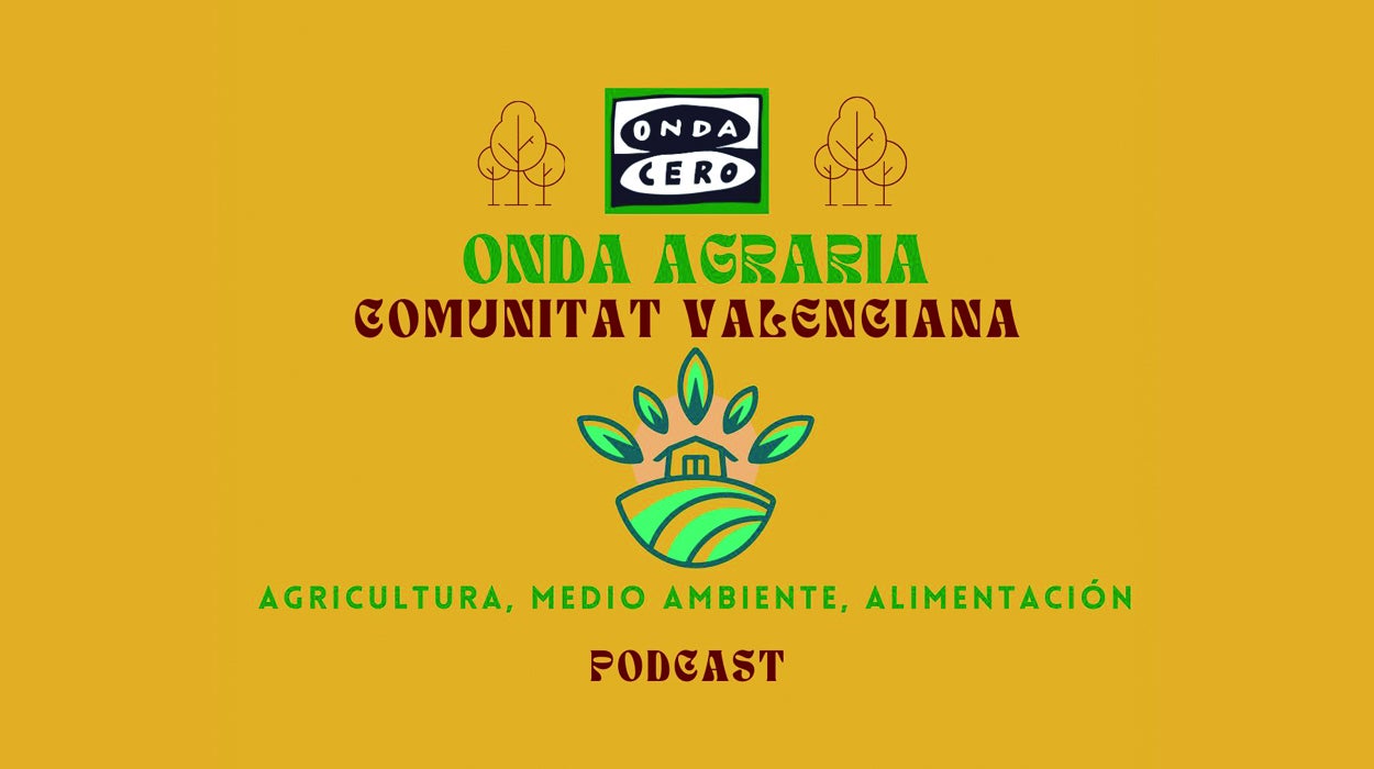 Onda Agraria Comunitat Valenciana: La Comunitat Valenciana lidera en 2023 el ranking de banderas azules Onda Agraria Comunitat Valenciana: La Comunitat Valenciana lidera en 2023 el ranking de banderas azules
