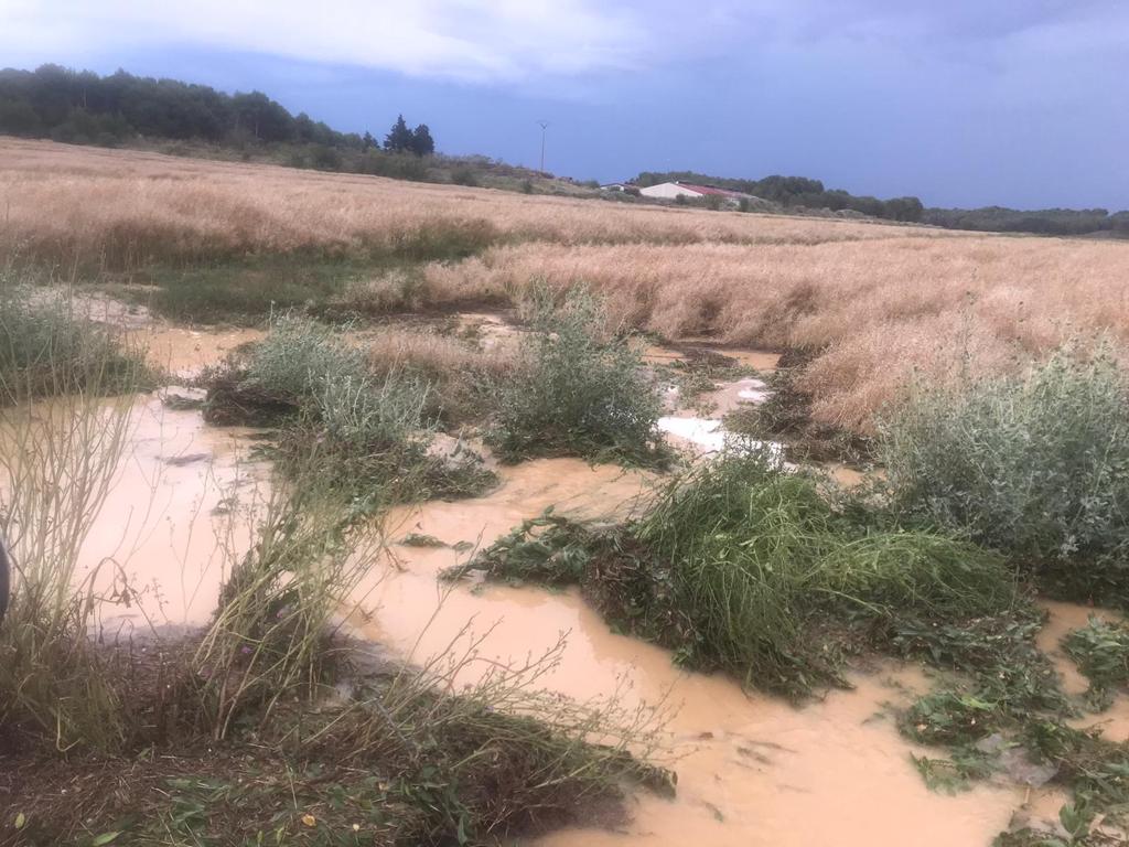 Las lluvias de los últimos días apenas se notan en los embalses de la cuenca del Ebro Las lluvias de los últimos días apenas se notan en los embalses de la cuenca del Ebro