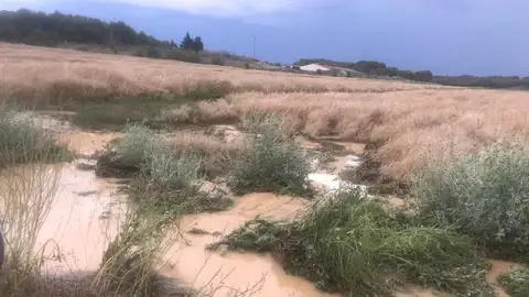 Las últimas tormentas han causado graves daños en algunos campos de Los Monegros. Las últimas tormentas han causado graves daños en algunos campos de Los Monegros.