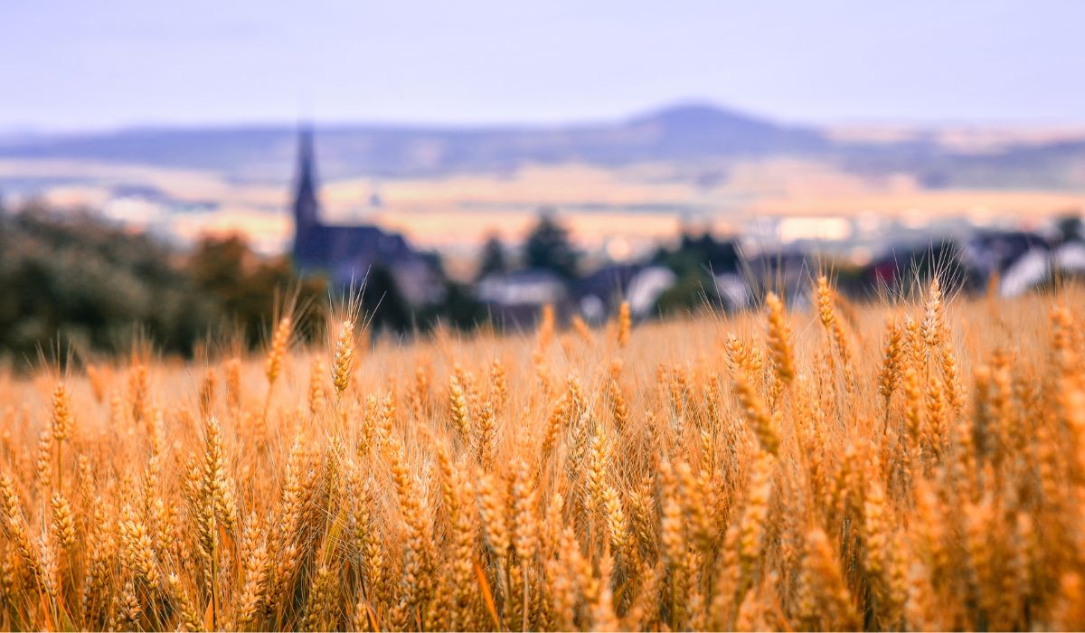 Con Susana Marqués, Más de Uno Álava 13/06/2023 Con Susana Marqués, Más de Uno Álava 13/06/2023