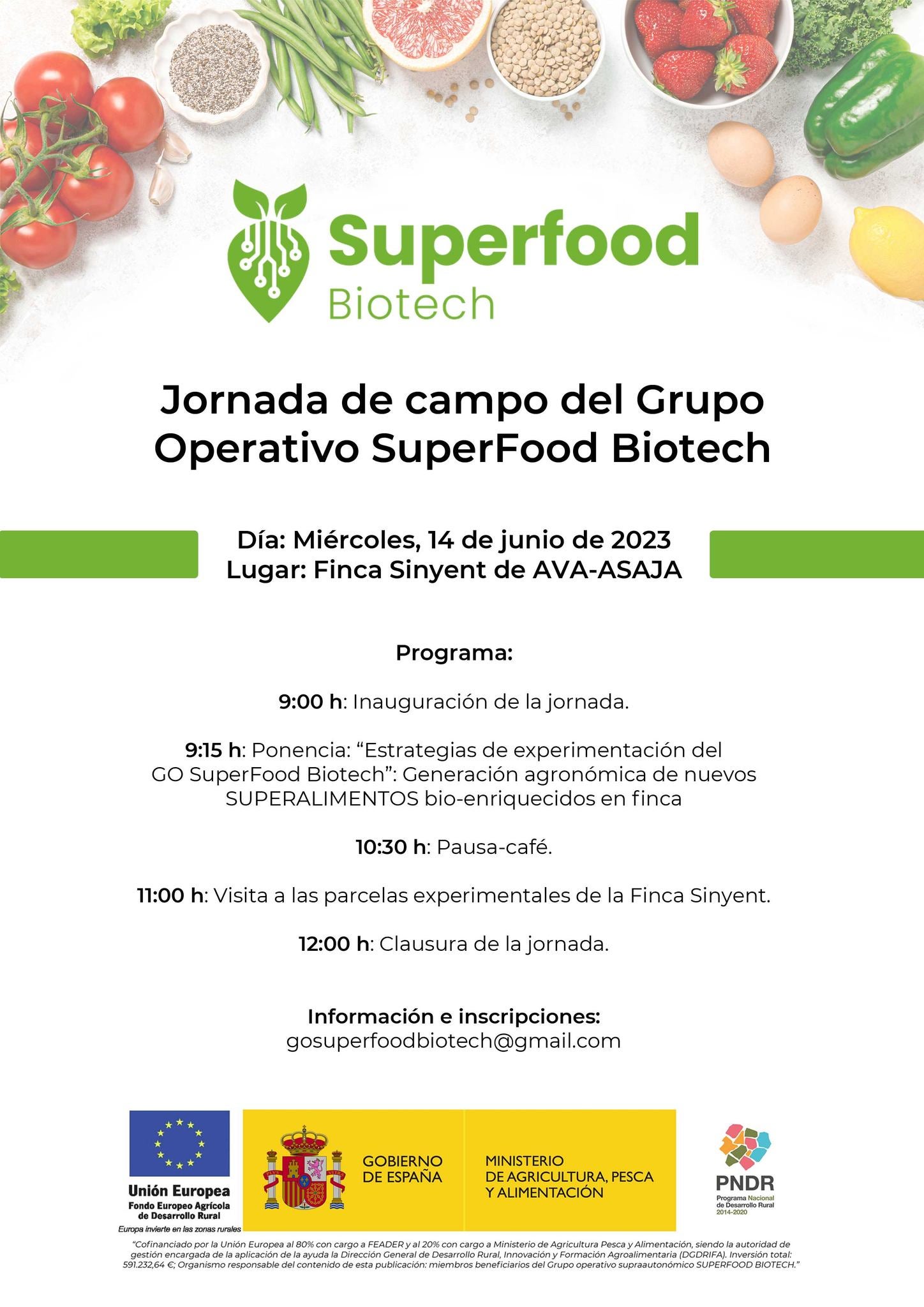 La Finca Sinyent de Polinyà del Xúquer mostrará hoy a los agricultores un nuevo proyecto para cultivar superalimentos La Finca Sinyent de Polinyà del Xúquer mostrará hoy a los agricultores un nuevo proyecto para cultivar superalimentos
