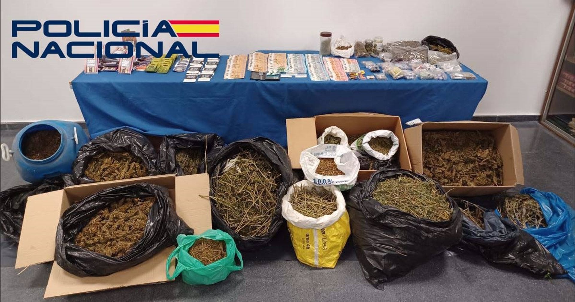 Un detenido con dos plantaciones de marihuana en una nave industrial y otras tantas en su domicilio en Mérida Un detenido con dos plantaciones de marihuana en una nave industrial y otras tantas en su domicilio en Mérida