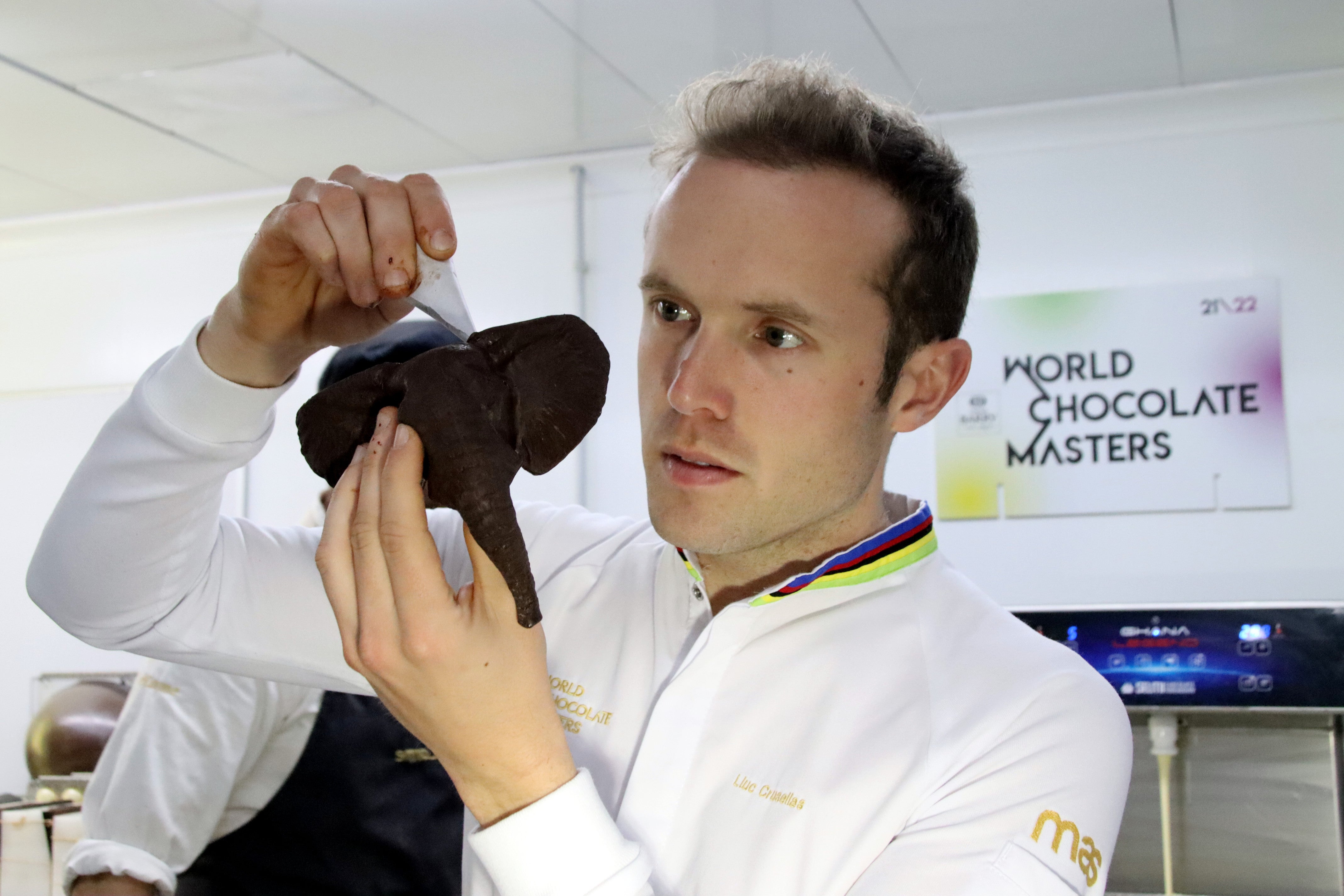 Lluc Crusellas, mestre xocolater: "Tenim una varietat increïble a casa nostra" Lluc Crusellas, mestre xocolater: "Tenim una varietat increïble a casa nostra"