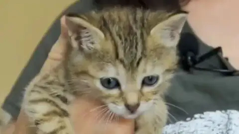 Adopta en JELO: Sonia y Selena, dos hermanas que necesitan un hogar Adopta en JELO: Sonia y Selena, dos hermanas que necesitan un hogar