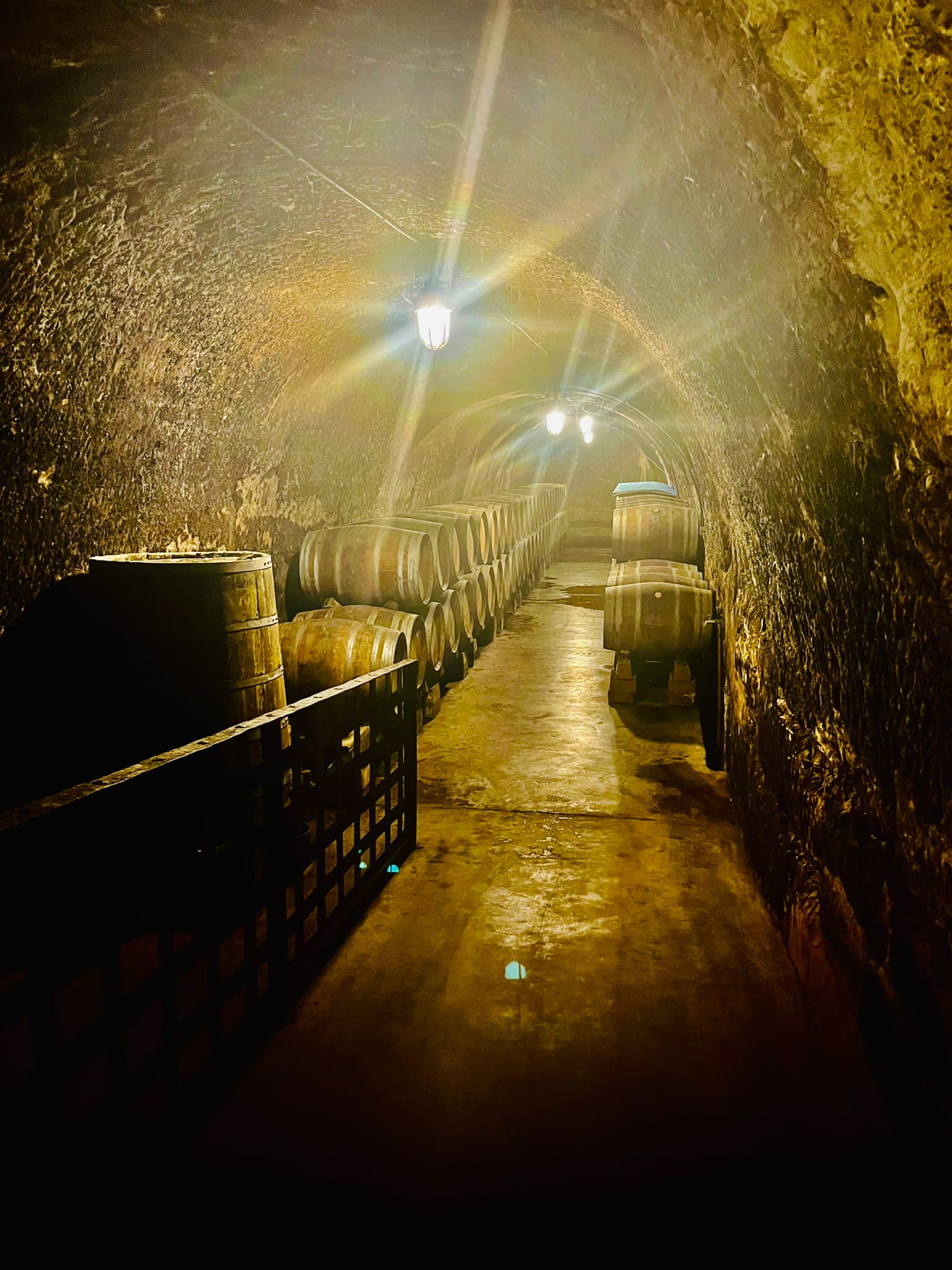 El municipio riojano de Haro: destino de tradición, bodegas y viñedos El municipio riojano de Haro: destino de tradición, bodegas y viñedos