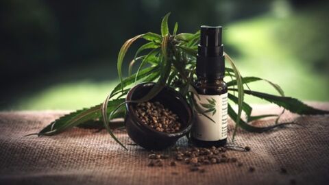 Cannabidiol