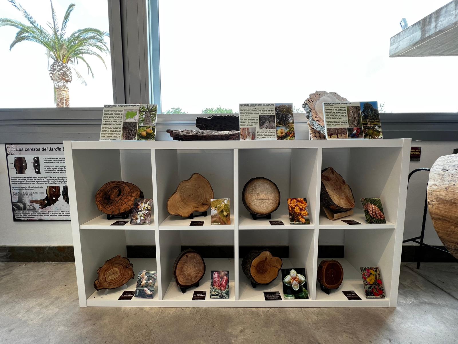 Más de uno Alcalá 21/06/2023 Más de uno Alcalá 21/06/2023