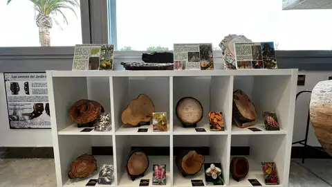 El Real Jardín Botánico Juan Carlos I incorpora a sus instalaciones una xiloteca, una colección de maderas del mundo única en España Vitrina de la nueva xiloteca del Real Jardín Botánico Juan Carlos I