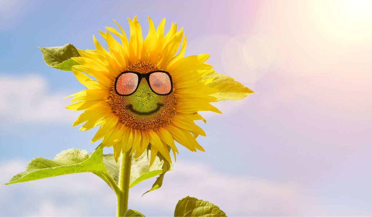 ¡Bienvenido verano! ¡Bienvenido verano!