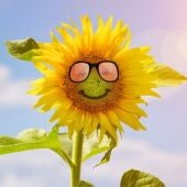 Bienvenido Verano