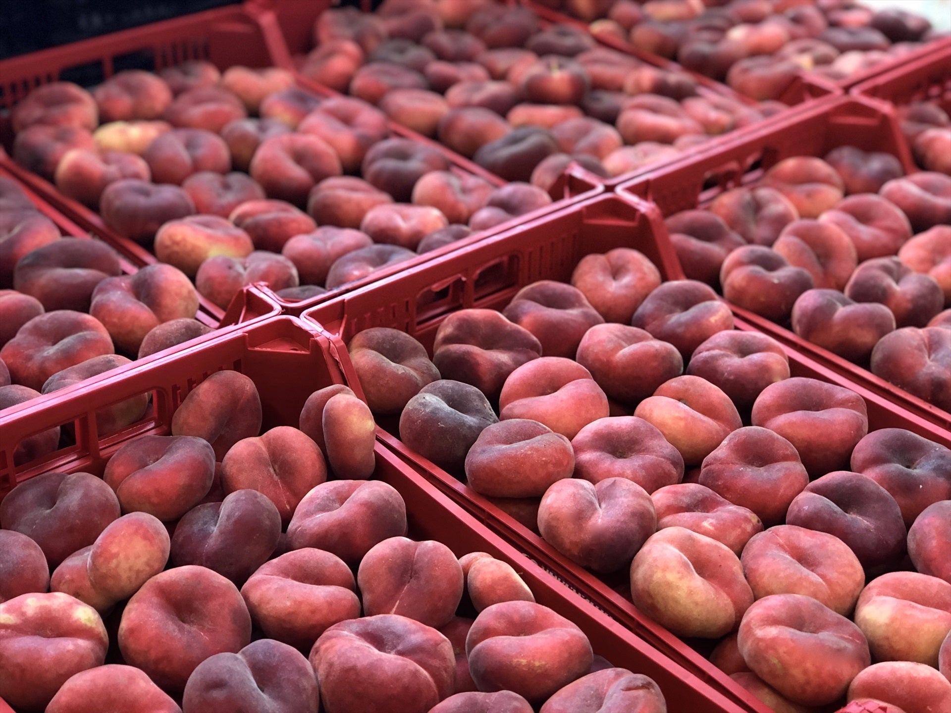 Esta es una de las mejores frutas del verano: antioxidante, diurético natural y baja en calorías Esta es una de las mejores frutas del verano: antioxidante, diurético natural y baja en calorías