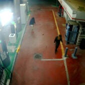 La Guardia Civil detiene a dos hombres por 15 robos en la provincia de Toledo