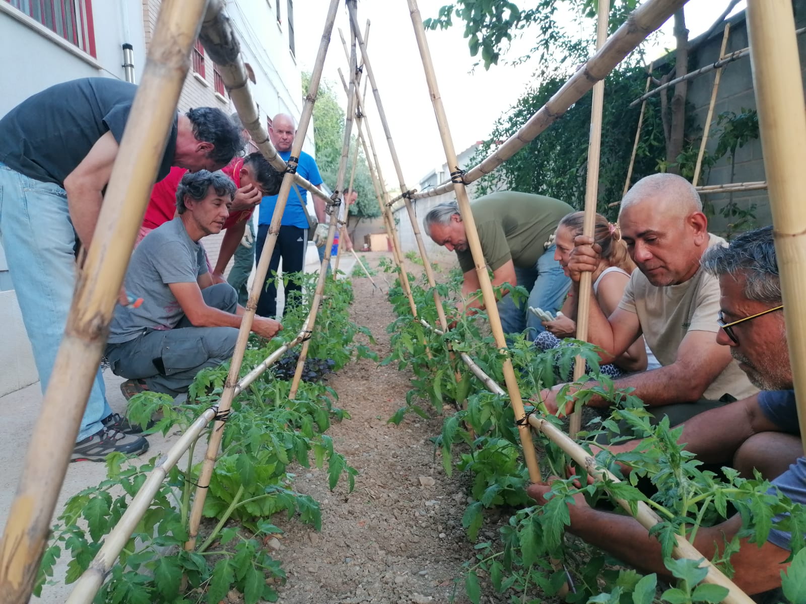 IN-HABIT y Cáritas Diocesana de Córdoba unen fuerzas para avanzar en la salud y el bienestar inclusivos IN-HABIT y Cáritas Diocesana de Córdoba unen fuerzas para avanzar en la salud y el bienestar inclusivos