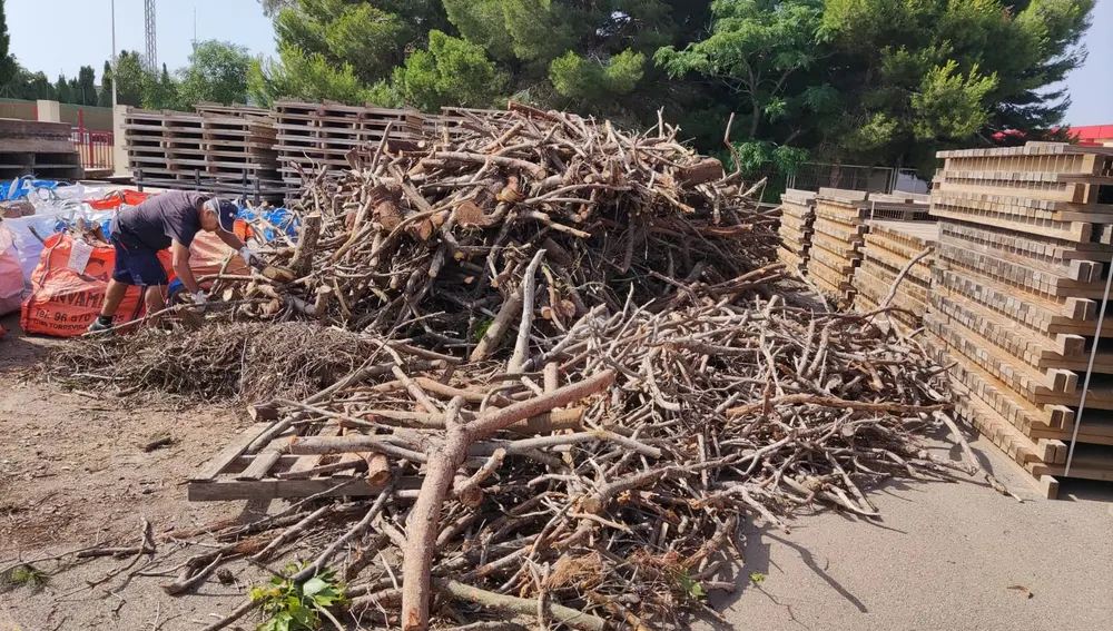 Acopio de la madera, hasta 15.000 kg, que el Ayuntamiento de Torrevieja entregará a aquellos que quieran encender hogueras en la Noche de San Juan