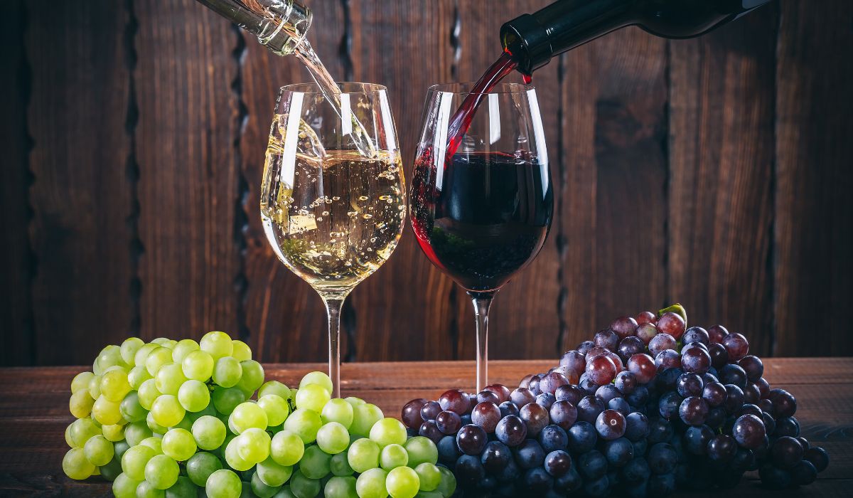 Vinos franceses: Bordeaux, Médoc, Champagne... Vinos franceses: Bordeaux, Médoc, Champagne...