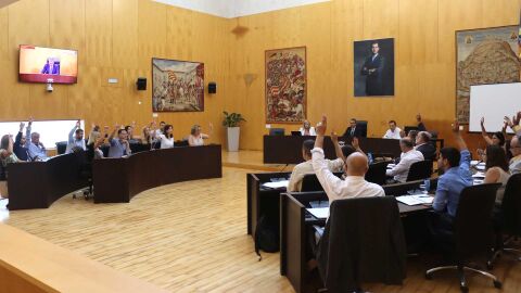 Pleno de organizaci&oacute;n de Benidorm