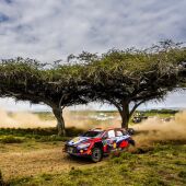 Dani Sordo en el Rally Safari 2023