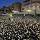 Trabajadores y trabajadoras del servicio de limpieza en una playa de Elche en la noche de San Juan 2023.