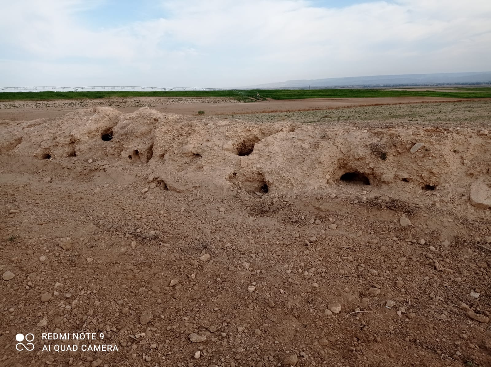 Los agricultores aragoneses calculan pérdidas cercanas a los 60 millones Los agricultores aragoneses calculan pérdidas cercanas a los 60 millones