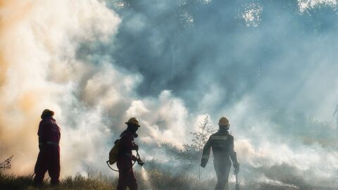 bomberos vega baja