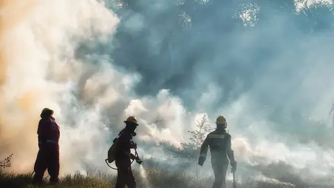 Todos debemos estar atentos en la prevención de un incendio forestal bomberos vega baja
