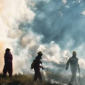 Todos debemos estar atentos en la prevención de un incendio forestal Todos debemos estar atentos en la prevención de un incendio forestal