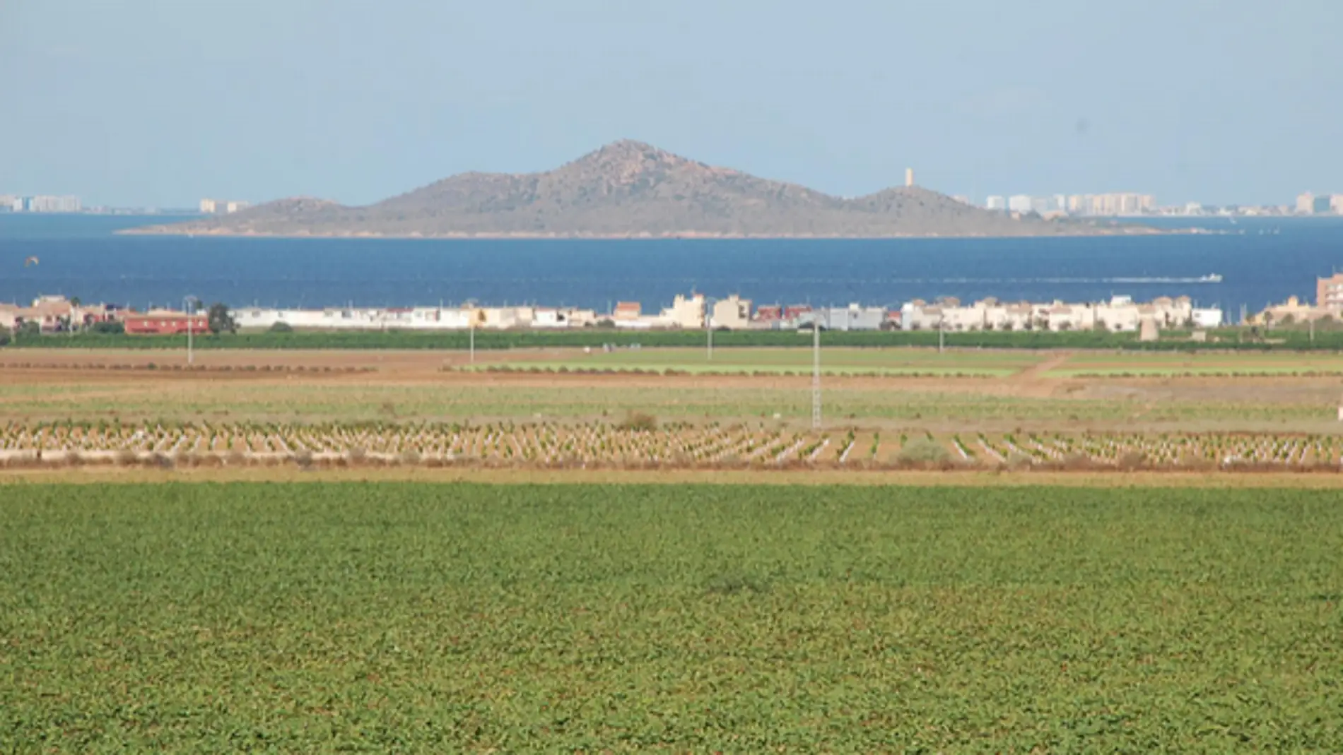 Medio Ambiente subraya la “necesidad imperiosa de reducir el uso de fertilizantes nitrogenados y de almacenamiento de deyecciones ganaderas en la cuenca del Mar Menor”. 