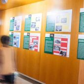 Exposición Pedro Zaragoza Orts Benidorm