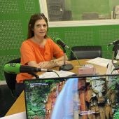 escuela de idiomas